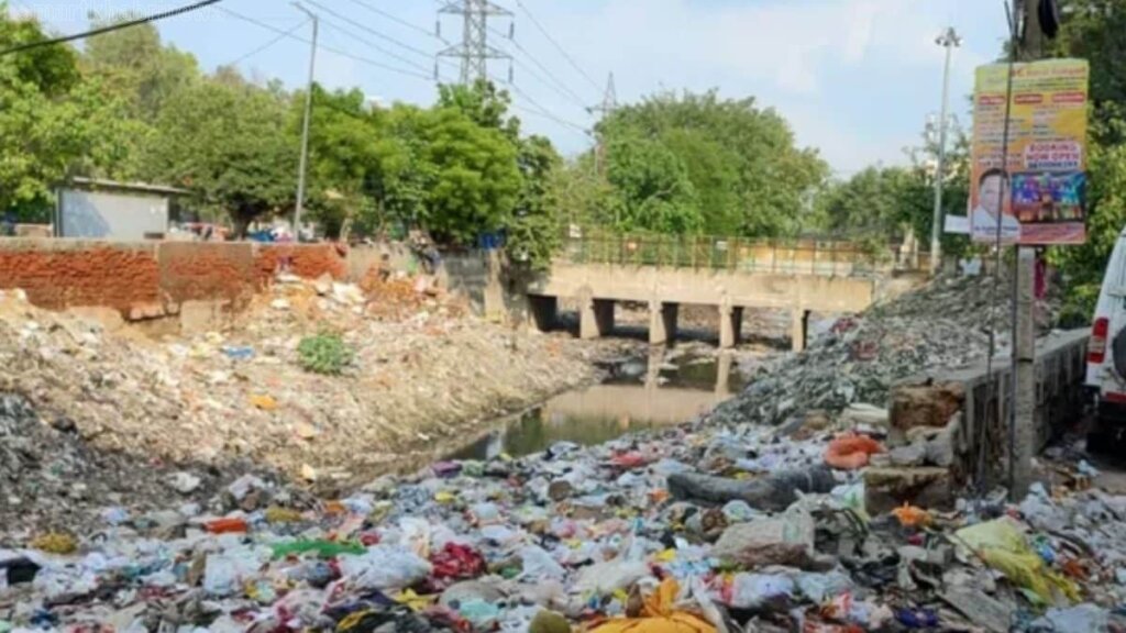 Trash Littered Roads Spark Outrage in Delhi - SmartKhabriNews